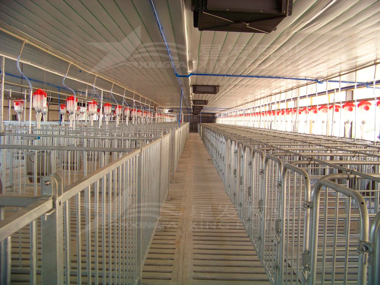 高溫來襲，養(yǎng)殖場安裝樹脂瓦，為小動(dòng)物營造避暑勝地