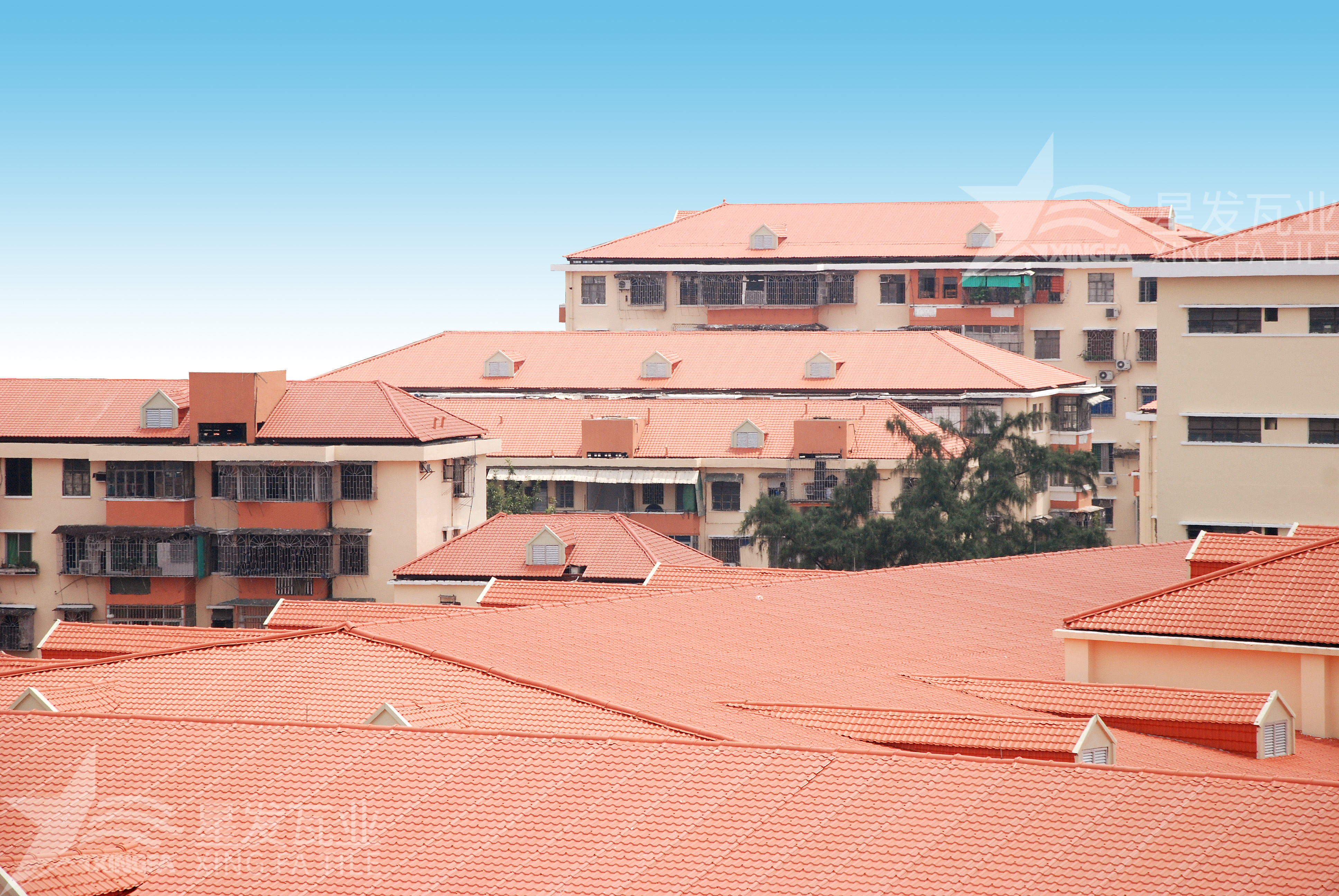 揭秘！居然還有人不知道合成樹(shù)脂瓦多少錢(qián)一方