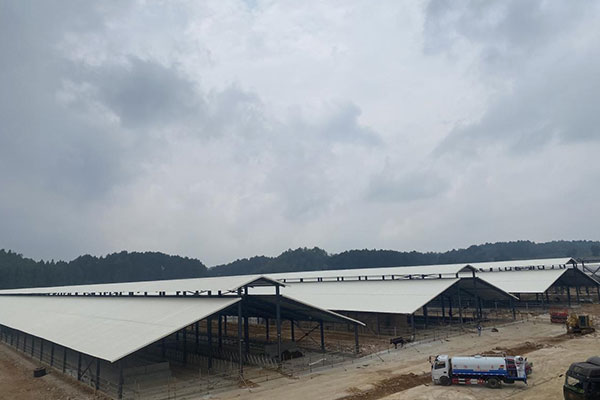 延長PVC瓦使用壽命的三大關鍵因素，千萬別忽視！